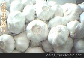 纯白大蒜 品质之选与商贸信息解析